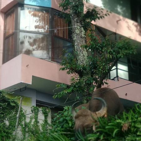 Sugan Residancy Kodai Kodaikanal Dış mekan fotoğraf